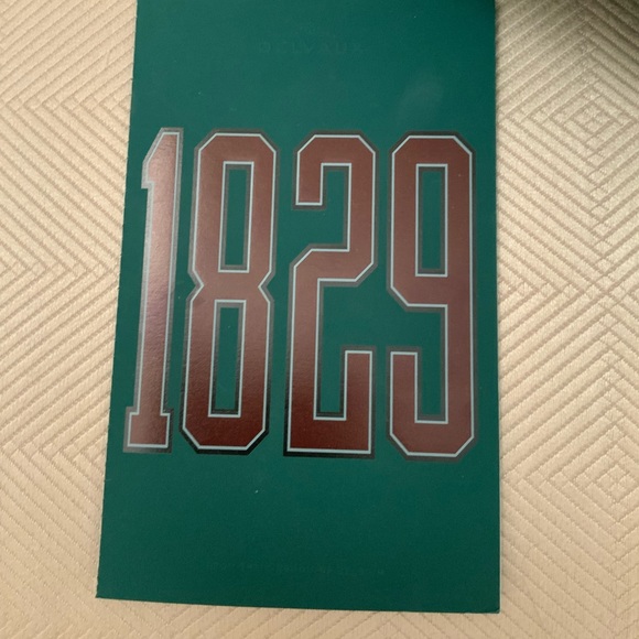 Delvaux Limited Edition 1829 Hero Bag - Picture 14 of 16